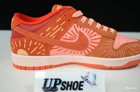 Low Nike (W) Winter Solstice NH Dunk DO6723-800 0503
